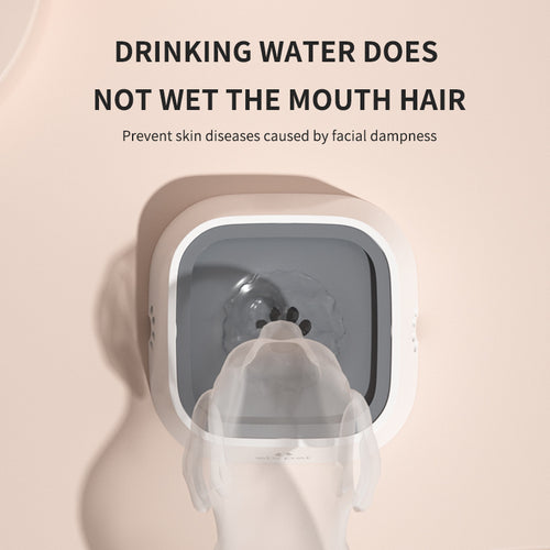 Automatic Pet Water Fountain - Multi-Filter Bowl