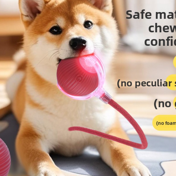Interactive Dog Toy Ball with Rope - Durable Fetch Toy