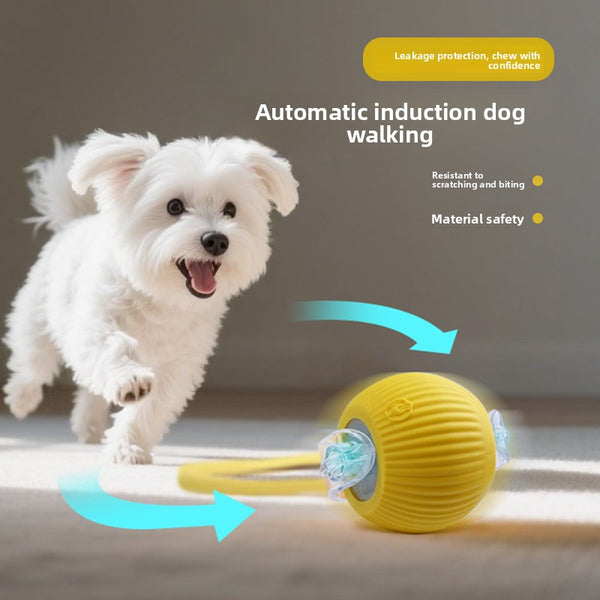 Interactive Dog Toy Ball with Rope - Durable Fetch Toy